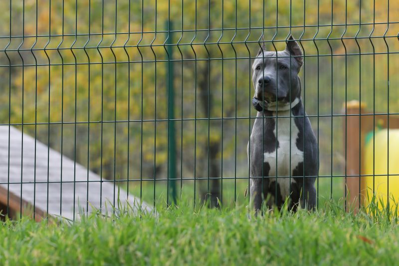 Electric Pet Fence Repair Cost — Cost of Electric Pet Fence Repair