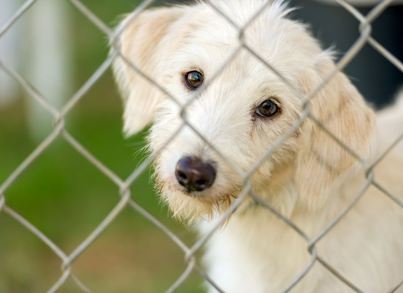 Transmitter Maintenance