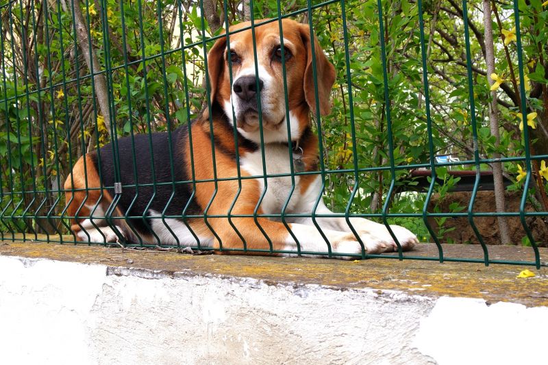 Budget-Smart Upgrades