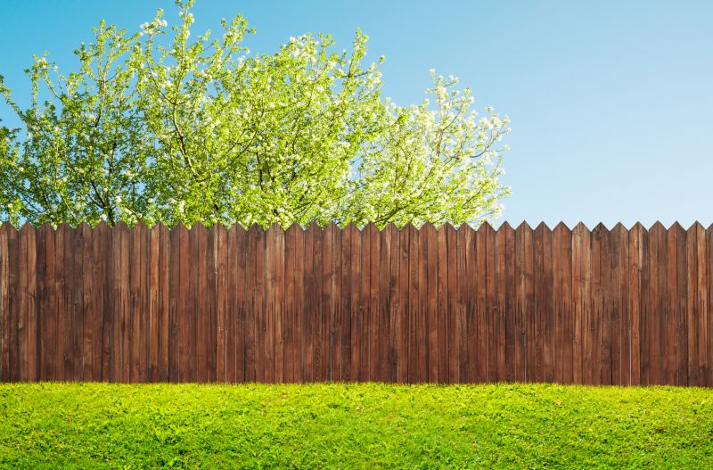 Vertical Board Fence